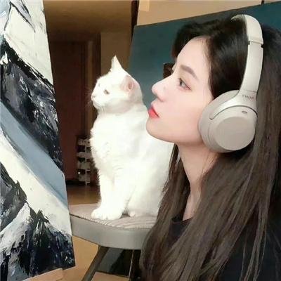灰姑娘的手机情缘